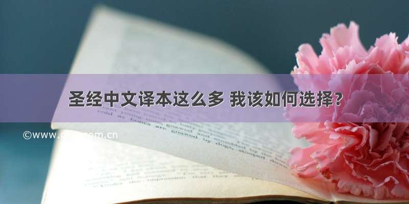圣经中文译本这么多 我该如何选择？
