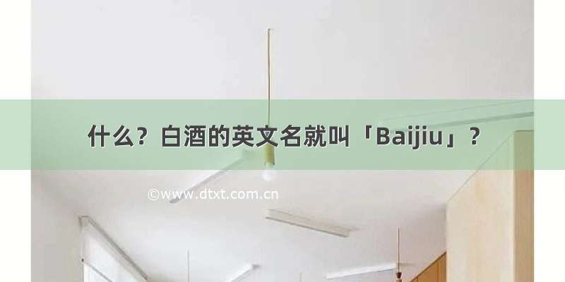 什么？白酒的英文名就叫「Baijiu」？