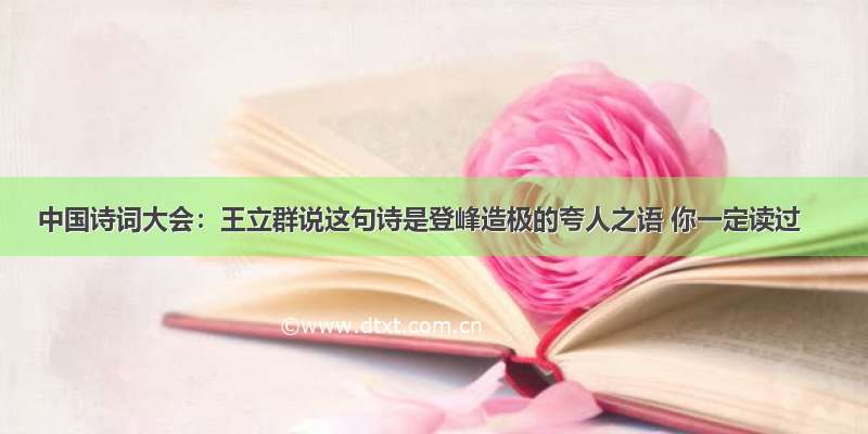 中国诗词大会：王立群说这句诗是登峰造极的夸人之语 你一定读过