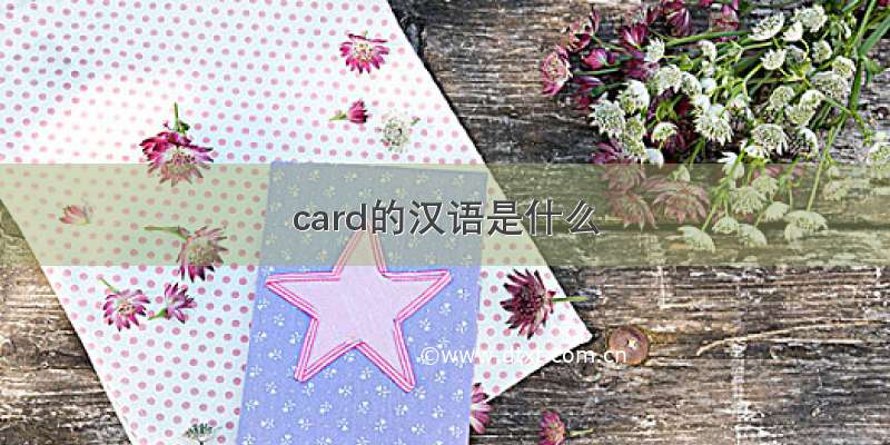 card的汉语是什么