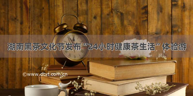 湖南黑茶文化节发布“24小时健康茶生活”体验游