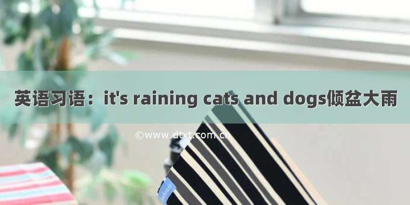 英语习语：it's raining cats and dogs倾盆大雨