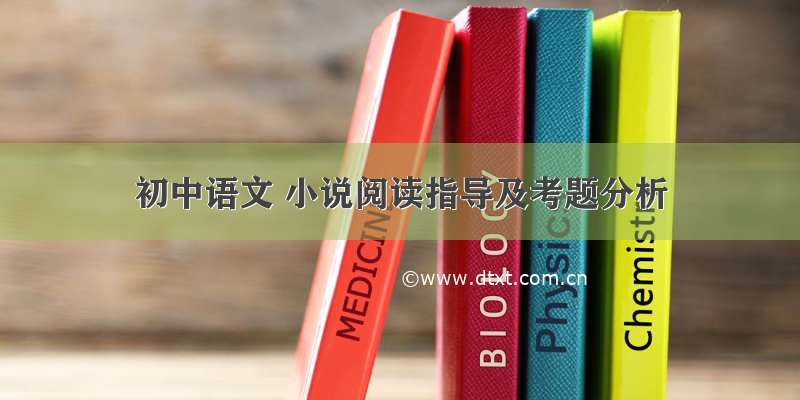 初中语文 小说阅读指导及考题分析