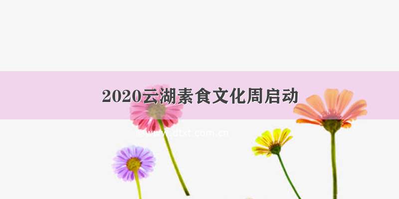 2020云湖素食文化周启动