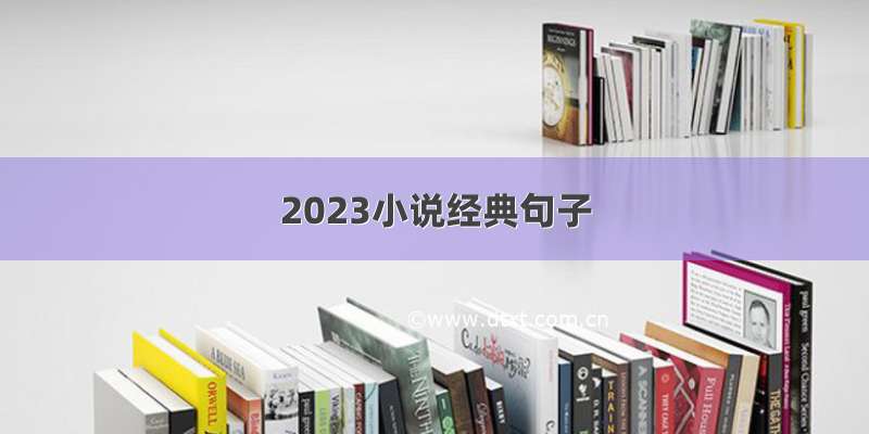 2023小说经典句子