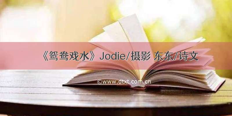 《鸳鸯戏水》Jodie/摄影 东东/诗文