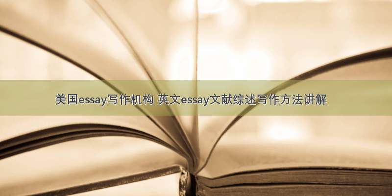 美国essay写作机构 英文essay文献综述写作方法讲解