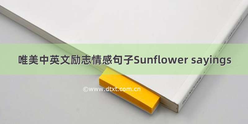 唯美中英文励志情感句子Sunflower sayings
