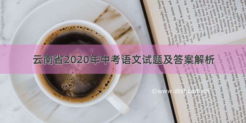 云南省2020年中考语文试题及答案解析