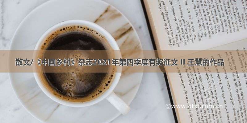 散文/《中国乡村》杂志2021年第四季度有奖征文 II 王慧的作品