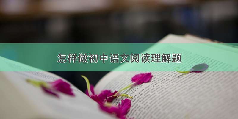 怎样做初中语文阅读理解题