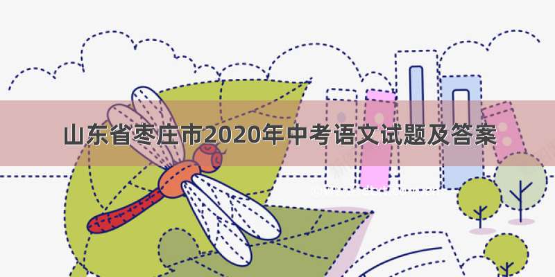 山东省枣庄市2020年中考语文试题及答案