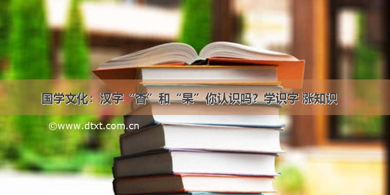 国学文化：汉字“杳”和“杲”你认识吗？学识字 涨知识
