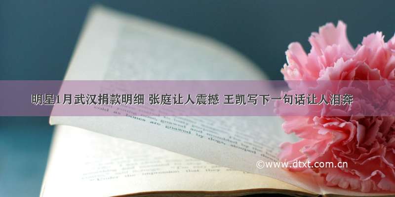 明星1月武汉捐款明细 张庭让人震撼 王凯写下一句话让人泪奔