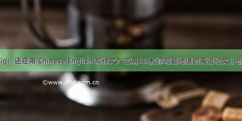 Ludwig：还在用 Chinese English 写作文？它用 AI 教你写最地道的英语论文｜创业
