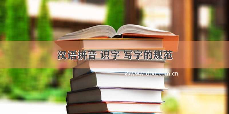 汉语拼音 识字 写字的规范