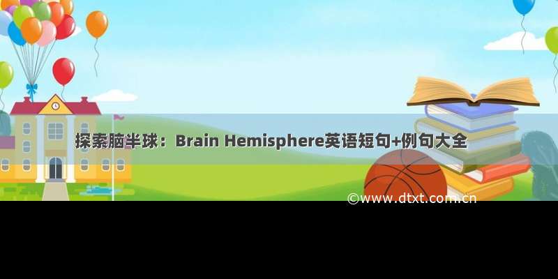 探索脑半球：Brain Hemisphere英语短句+例句大全