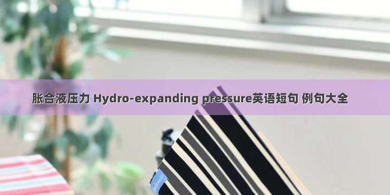 胀合液压力 Hydro-expanding pressure英语短句 例句大全