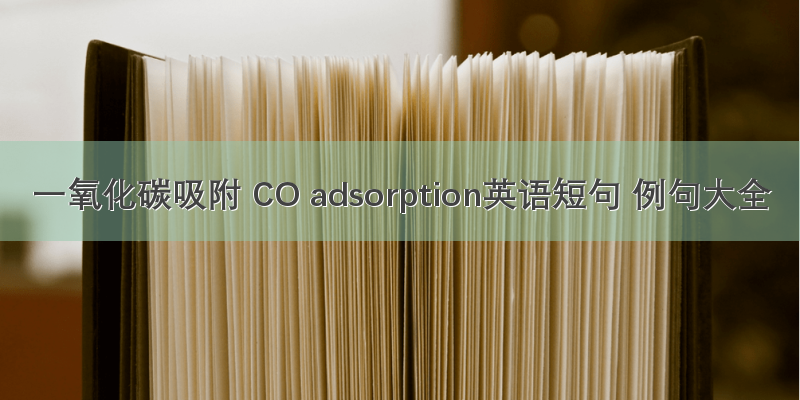 一氧化碳吸附 CO adsorption英语短句 例句大全