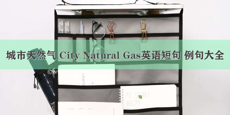 城市天然气 City Natural Gas英语短句 例句大全