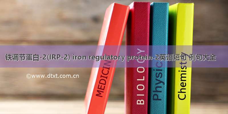 铁调节蛋白-2(IRP-2) iron regulatory protein-2英语短句 例句大全
